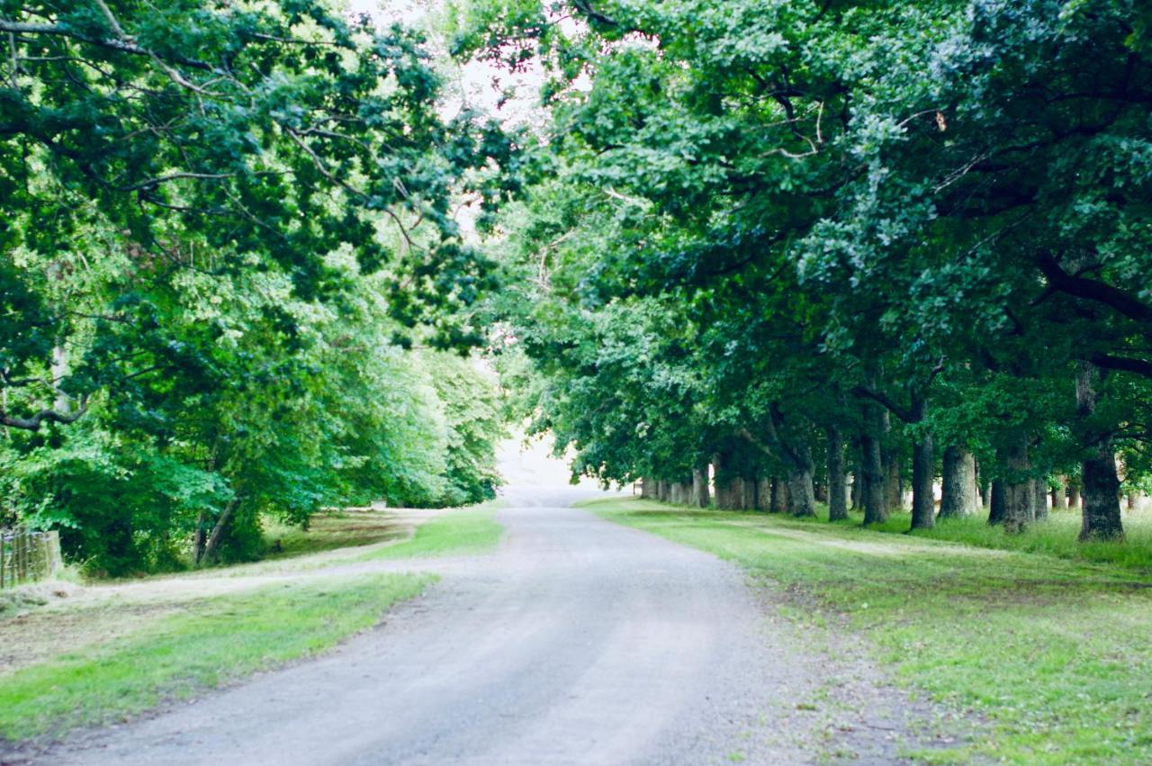Wallingford Homestead Εξωτερικό φωτογραφία