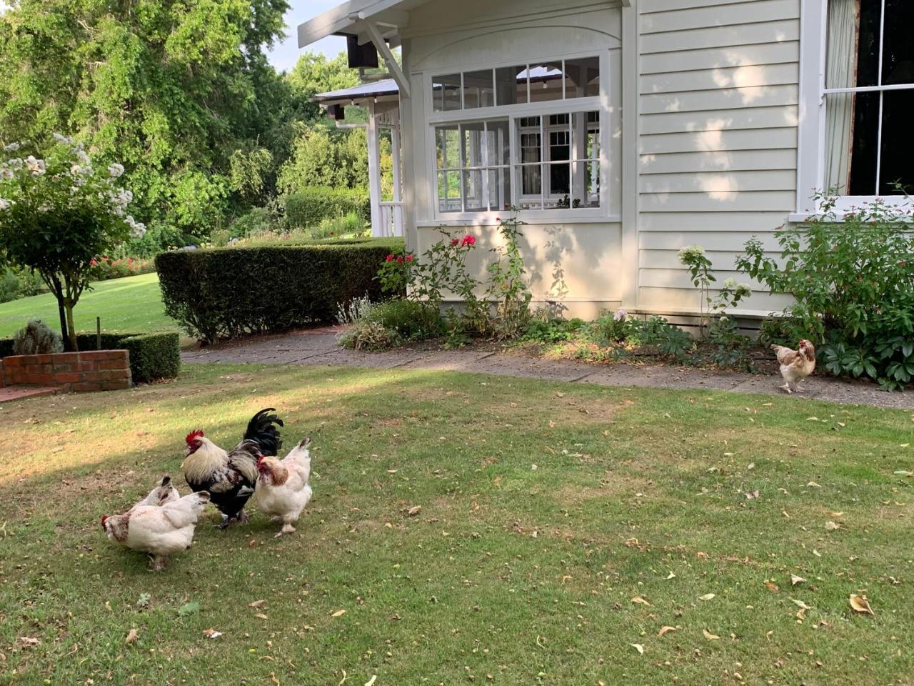 Wallingford Homestead Εξωτερικό φωτογραφία
