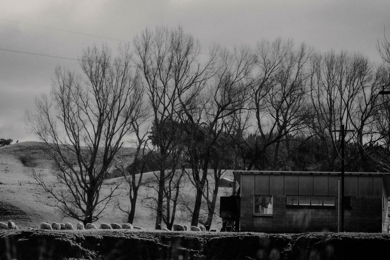 Wallingford Homestead Εξωτερικό φωτογραφία