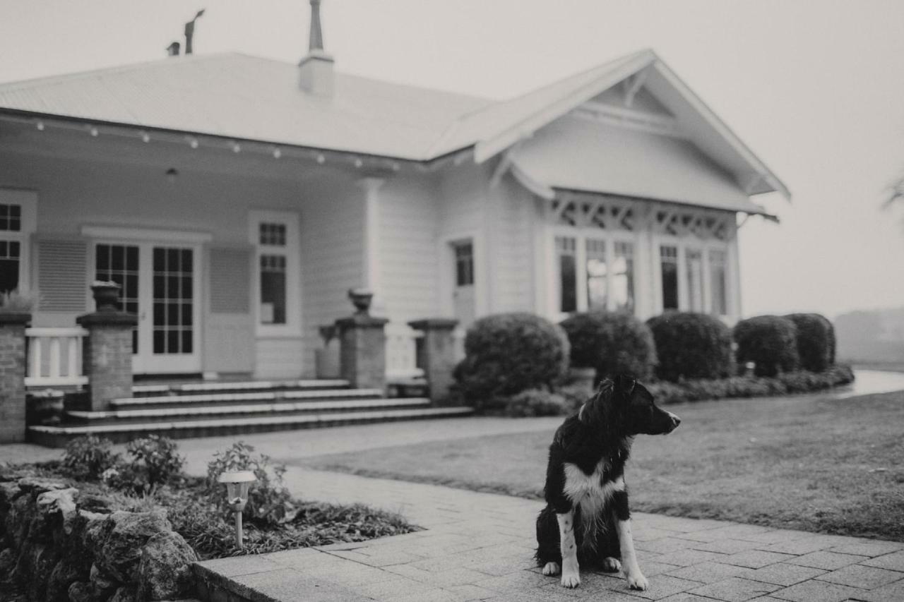 Wallingford Homestead Εξωτερικό φωτογραφία